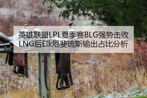 英雄联盟LPL夏季赛BLG强势击败LNG后Elk厄斐琉斯输出占比分析